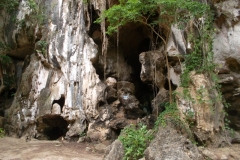 Krabi Khlong Prasong Caves