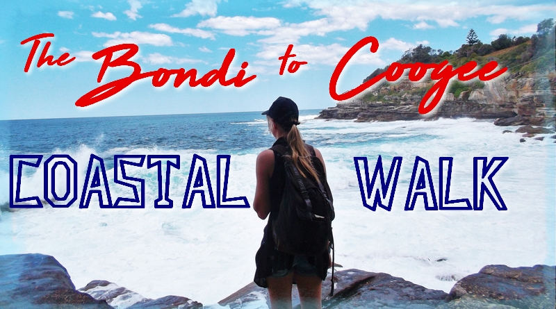 bondi to coogee coastal walk