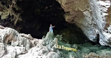 gua tempurung mastered